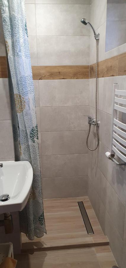 Noclegi Silesia Aster ティヒ エクステリア 写真