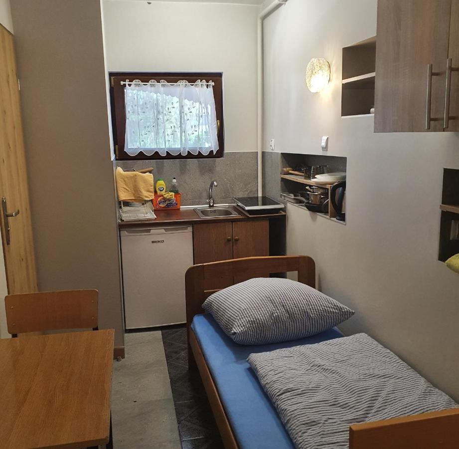 Noclegi Silesia Aster ティヒ 部屋 写真